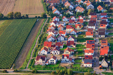 Vue aérienne de Nouvelle zone de développement Unteres Rappenfeld à le quartier Mörlheim in Landau in der Pfalz dans le département Rhénanie-Palatinat, Allemagne