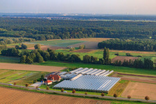 Vue aérienne de Jardinage biologique entre Herxheimweyher et Herxheim à Herxheimweyher dans le département Rhénanie-Palatinat, Allemagne