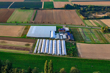 Vue aérienne de Jardinage biologique entre Herxheimweyher et Herxheim à Herxheimweyher dans le département Rhénanie-Palatinat, Allemagne