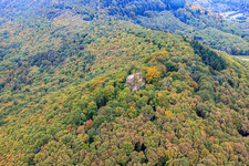 Photographie aérienne de Ruines du château de Neukastell à Leinsweiler dans le département Rhénanie-Palatinat, Allemagne