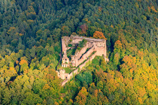 Vue oblique de Ruines de Neuscharfeneck à Dernbach dans le département Rhénanie-Palatinat, Allemagne