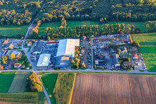 Vue aérienne de Zone industrielle Am Oberen Griesweg avec succursale Riwald Electronics Recycling GmbH Lustadt à le quartier Niederlustadt in Lustadt dans le département Rhénanie-Palatinat, Allemagne