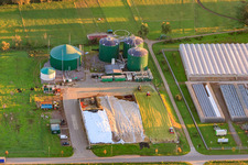 Vue aérienne de Installation de biogaz Lustadt à le quartier Niederlustadt in Lustadt dans le département Rhénanie-Palatinat, Allemagne