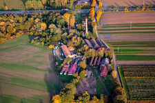 Vue aérienne de Menuiserie Hellmann, briqueterie à Kuhardt dans le département Rhénanie-Palatinat, Allemagne