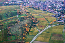 Vue oblique de Petit kalmit à Ilbesheim bei Landau in der Pfalz dans le département Rhénanie-Palatinat, Allemagne