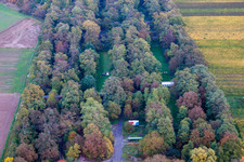 Vue oblique de Insheim dans le département Rhénanie-Palatinat, Allemagne
