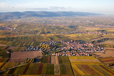 Quartier Mörzheim in Landau in der Pfalz dans le département Rhénanie-Palatinat, Allemagne du point de vue du drone