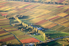 Vue aérienne de Rangée d'arbres automnaux dans la vallée d'Aalmühle entre les vignes à le quartier Ilbesheim in Ilbesheim bei Landau in der Pfalz dans le département Rhénanie-Palatinat, Allemagne