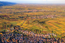 Réserve naturelle Kleine Kalmit au-dessus du village viticole à le quartier Ilbesheim in Ilbesheim bei Landau in der Pfalz dans le département Rhénanie-Palatinat, Allemagne vue d'en haut
