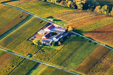 Vue aérienne de Wacholderstrasse 2 à Leinsweiler dans le département Rhénanie-Palatinat, Allemagne