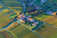 Hôtel Leinsweiler Courtyard à Leinsweiler dans le département Rhénanie-Palatinat, Allemagne vue du ciel