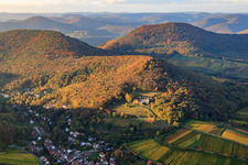 Vue aérienne de Ferme de Slevogt à Leinsweiler dans le département Rhénanie-Palatinat, Allemagne