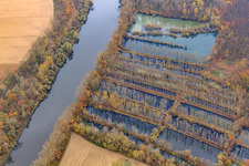 Vue aérienne de Prairies inondées du Rhin à Micheslbach/Altrhein à Hördt dans le département Rhénanie-Palatinat, Allemagne
