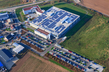 Vue oblique de DBK David + Baader GmbH à Rülzheim dans le département Rhénanie-Palatinat, Allemagne