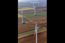Vue aérienne de Parc éolien entre Rülzheim et Offenbach à Rülzheim dans le département Rhénanie-Palatinat, Allemagne