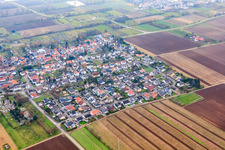 Vue aérienne de Goethester à le quartier Niederlustadt in Lustadt dans le département Rhénanie-Palatinat, Allemagne