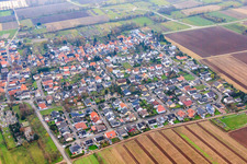 Photographie aérienne de Goethester à le quartier Niederlustadt in Lustadt dans le département Rhénanie-Palatinat, Allemagne