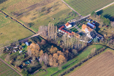 Vue aérienne de Hôtel pour chiens Obermühle à Walsheim dans le département Rhénanie-Palatinat, Allemagne