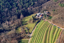 Vue aérienne de Burrweiler, Buschmühle à Buschmühle dans le département Rhénanie-Palatinat, Allemagne