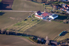 Quartier Ingenheim in Billigheim-Ingenheim dans le département Rhénanie-Palatinat, Allemagne depuis l'avion