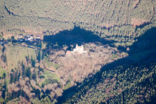 Erlenbach, château de Berwartstein à Erlenbach bei Dahn dans le département Rhénanie-Palatinat, Allemagne vu d'un drone