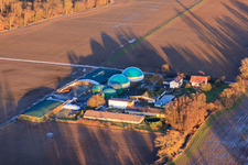Vue aérienne de Installations de biogaz de Wagner GmbH à Steinweiler dans le département Rhénanie-Palatinat, Allemagne