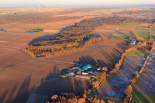 Vue aérienne de Installations de biogaz de Wagner GmbH à Steinweiler dans le département Rhénanie-Palatinat, Allemagne
