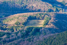 Vue aérienne de Camping pour jeunes Kaiserbachtal à Waldhambach dans le département Rhénanie-Palatinat, Allemagne