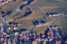 Photographie aérienne de Domaine viticole Gies-Düppel à Birkweiler dans le département Rhénanie-Palatinat, Allemagne