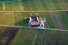 Vue aérienne de Aussiedlerhof Wacholderstr à Leinsweiler dans le département Rhénanie-Palatinat, Allemagne