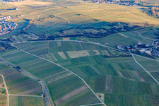 Vue aérienne de Sur Ilbesheim bei Landau in der Pfalz à Ilbesheim bei Landau in der Pfalz dans le département Rhénanie-Palatinat, Allemagne
