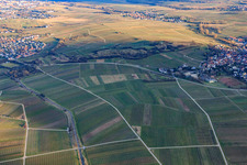 Photographie aérienne de Sur Ilbesheim bei Landau in der Pfalz à Ilbesheim bei Landau in der Pfalz dans le département Rhénanie-Palatinat, Allemagne