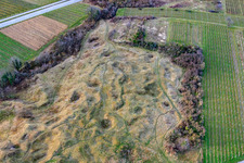 Vue aérienne de Réserve naturelle de Kleine Kalmit en hiver depuis le sud à le quartier Arzheim in Landau in der Pfalz dans le département Rhénanie-Palatinat, Allemagne