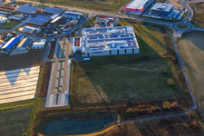 Vue d'oiseau de DBK EMS GmbH & Co. KG dans le parc industriel de Nordring à Rülzheim dans le département Rhénanie-Palatinat, Allemagne