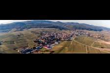 Vue oblique de Vignobles en Schweigen à le quartier Schweigen in Schweigen-Rechtenbach dans le département Rhénanie-Palatinat, Allemagne