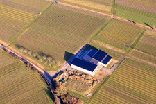 Vue aérienne de Weingut Cuntz Sonnenhof en hiver dans les vignes nues à le quartier Rechtenbach in Schweigen-Rechtenbach dans le département Rhénanie-Palatinat, Allemagne