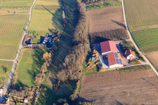 Vue aérienne de Domaine viticole Heinz & Thomas Beck en hiver à Otterbach à Oberotterbach dans le département Rhénanie-Palatinat, Allemagne