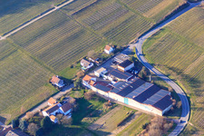 Les vins de Wissing à Oberotterbach dans le département Rhénanie-Palatinat, Allemagne hors des airs