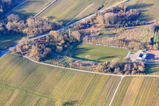 Vue aérienne de Terrains de sport de SV Oberotterbach 1950 eV à Oberotterbach dans le département Rhénanie-Palatinat, Allemagne