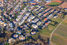 Vue aérienne de Rue Tabernae Montanus à Bad Bergzabern dans le département Rhénanie-Palatinat, Allemagne