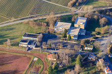 Vue aérienne de École à Ilbesheim bei Landau in der Pfalz dans le département Rhénanie-Palatinat, Allemagne