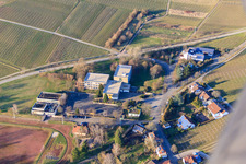 Photographie aérienne de École à Ilbesheim bei Landau in der Pfalz dans le département Rhénanie-Palatinat, Allemagne