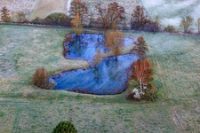 Vue oblique de Biotope dans la plaine d'Otterbach dans la brume matinale à Minfeld dans le département Rhénanie-Palatinat, Allemagne