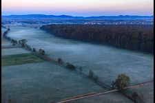 Vue oblique de Les plaines d'Otterbach dans la brume matinale à Freckenfeld dans le département Rhénanie-Palatinat, Allemagne