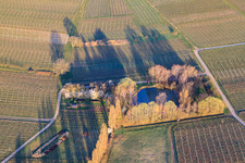 Vue aérienne de Étang sur l'Aalmühl à le quartier Ilbesheim in Ilbesheim bei Landau in der Pfalz dans le département Rhénanie-Palatinat, Allemagne