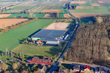 Photographie aérienne de Serres de Fehmel Gemüse à le quartier Dreihof in Essingen dans le département Rhénanie-Palatinat, Allemagne