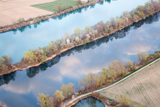 Vue aérienne de Zones riveraines de l'Altrhein à Neupotz dans le département Rhénanie-Palatinat, Allemagne