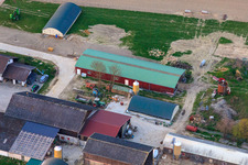 Photographie aérienne de Marketing direct Burgerhof Neupotz et Jägerhof à Neupotz dans le département Rhénanie-Palatinat, Allemagne