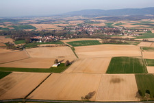 Riedseltz dans le département Bas Rhin, France vu d'un drone