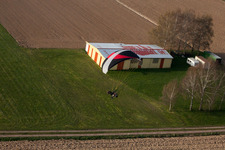 Photographie aérienne de Riedseltz dans le département Bas Rhin, France